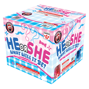 He or She, What Will It Be? XL Fountain (Blue)