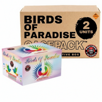 Birds of Paradise 42-Shot XL Aerial Cake