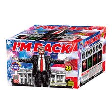 I'm Back 39-Shot XL Aerial Cake