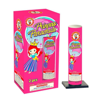 Princesa Paracaidista (Paquete de 2) | Caja Maestra™ 24/1
