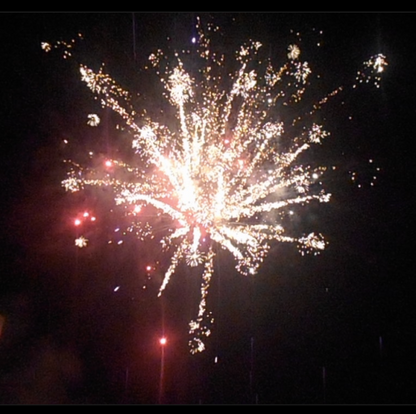 Assorted Effects 66-Shot Pro-Line Cake