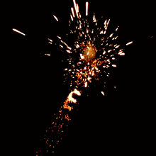 Platinum Thunder 10-Shot Roman Candles