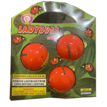 Ladybugs Flying Novelty (3-Pack)
