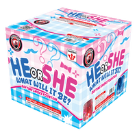 He or She, What Will It Be? XL Fountain (Pink)