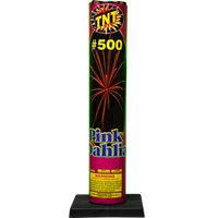 #500 Dalia Rosa Concha