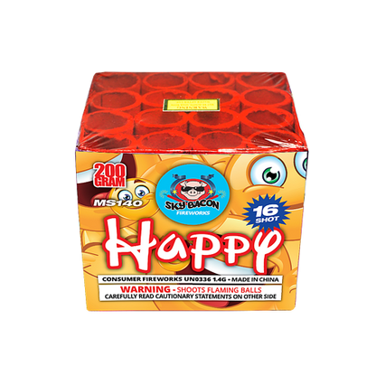 Happy 16-Shot Standard Aerial Cake