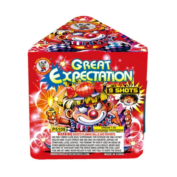 Great Expectation 9-Shot Standard Aerial Cake | Case Pack™ 24/1