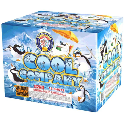 Cool Company 19-Shot XL Aerial Cake | Case Pack™ 4/1