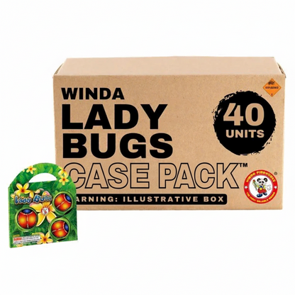Lady Bugs (3-Pack) Flying Novelty | Case Pack™ 40/1