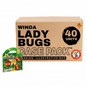 Lady Bugs (3-Pack) Flying Novelty | Case Pack™ 40/1
