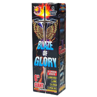 Blaze of Glory 24-Shot 6 in. Canister Shells