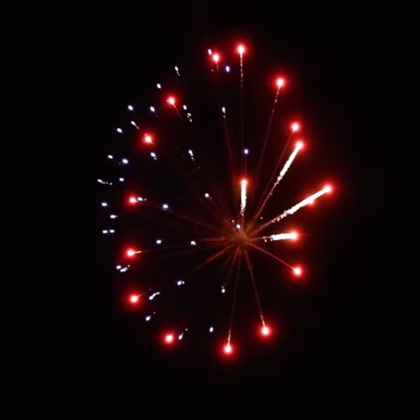 RWB Jelly Fish (60mm) Single Shot Pro-Line