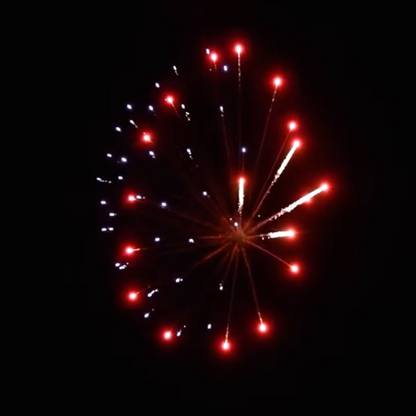 RWB Jelly Fish (60mm) Single Shot Pro-Line