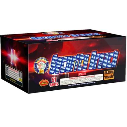 Security Breach 51-Shot XL Aerial Cake | Case Pack™ 4/1