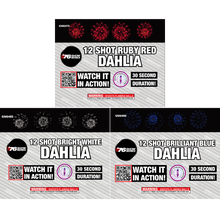 R/W/B Dahlia Asst (30 sec) 12-Shot Standard Aerial Cake | 1/3 Case