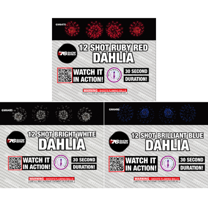 R/W/B Dahlia Asst (30 sec) 12-Shot Standard Aerial Cake | 1/3 Case