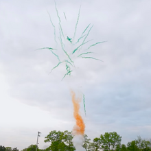 Orange Smk Tail W Crkle Mine To Dump Grn Smk Palms 49-Shot Pro-Line Cake