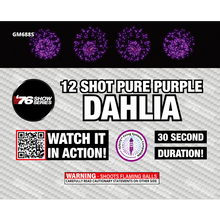 O/Pu/Pi/Aq Dahlia Asst (30 sec) 12-Shot Standard Aerial Cake | 1/4 Case