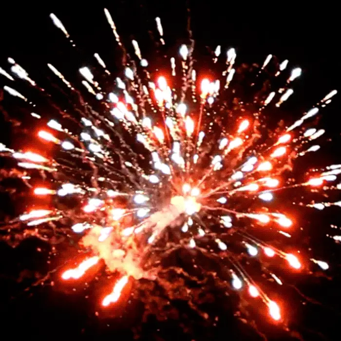 Giant Panda Box® 648 Shot Sampler® – Elevated Fireworks Giant Panda Box® 648 Shot Sampler® – Elevated Fireworks