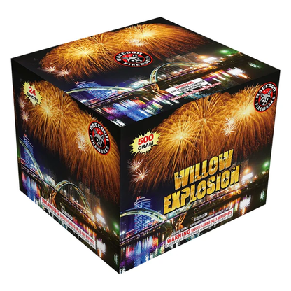 Willow Explosion 24-Shot XL Aerial Cake | Case Pack™ 4/1