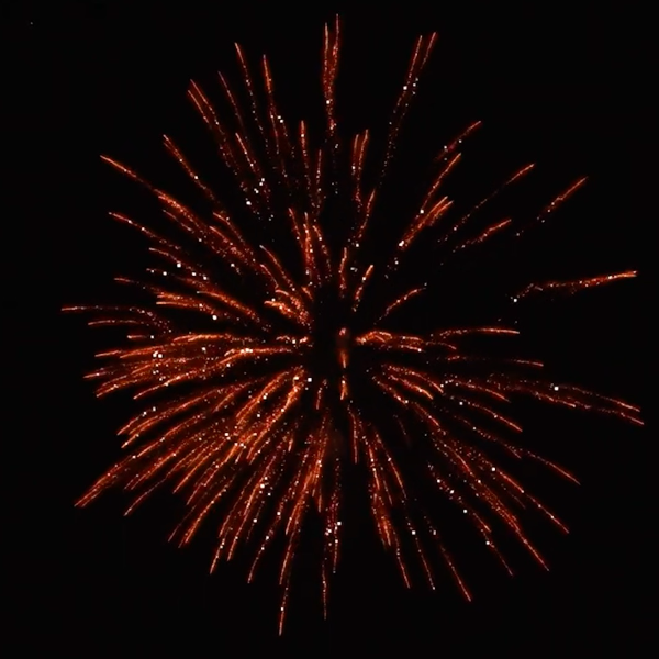 Supernova Cans Nishiki Kamuro 8-Shot Canister Shell