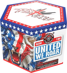 United we Roar 19-Shot XL Aerial Cake