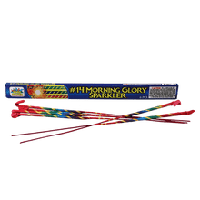 Morning Glory #14 (6-Pack)