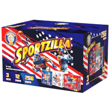 Sportzilla 254-Shot Aerial Assortment Set | Case 1/3/4