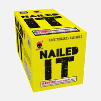 Nailed It 18-Shot Standard Aerial Cake