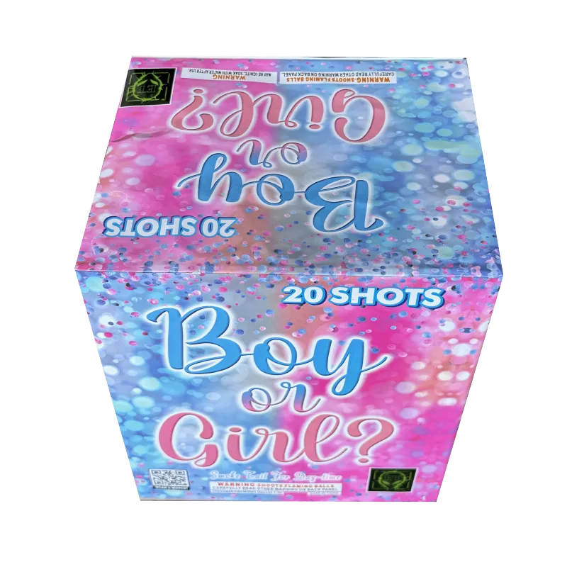 Boy or Girl? 20-Shot Daytime XL Aerial Cake