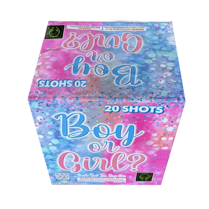 Boy or Girl? 20-Shot Daytime XL Aerial Cake