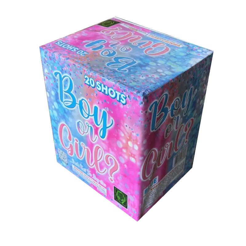 Boy or Girl? 20-Shot Daytime XL Aerial Cake