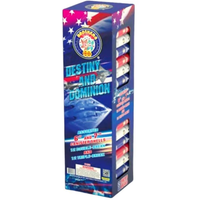 Destiny and Domination 24-Shot Canister Shells | Caja 3/1