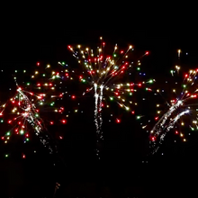 Fan Silver Tail to Multi Color Dahlia 81-Shot Pro-Line Cake