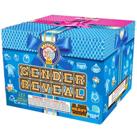 Gender Reveal Blue 36-Shot XL Aerial Cake