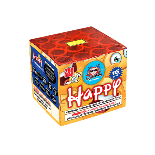 Happy 16-Shot Standard Aerial Cake