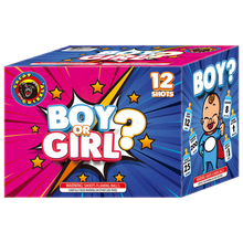 Boy or Girl 12-Shot Standard Aerial Cake (Pink)