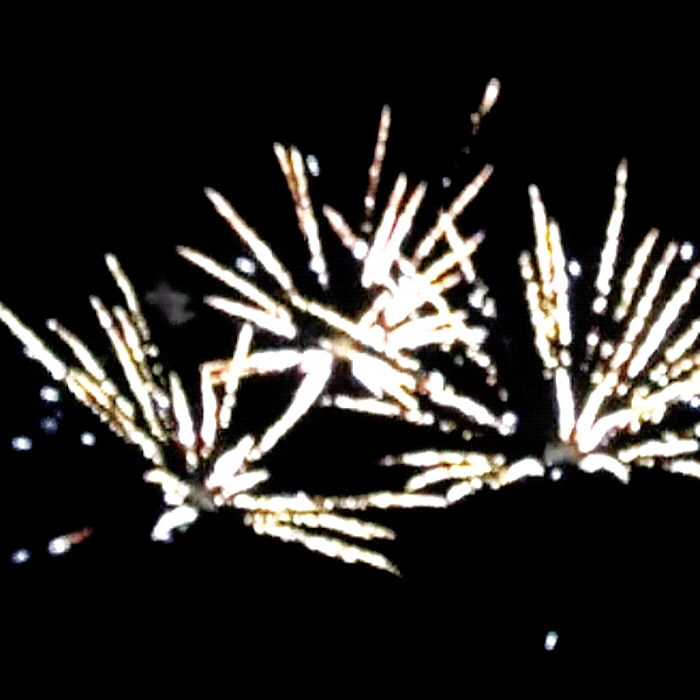 Patient Zero 48-Shot Standard Aerial Finale Set