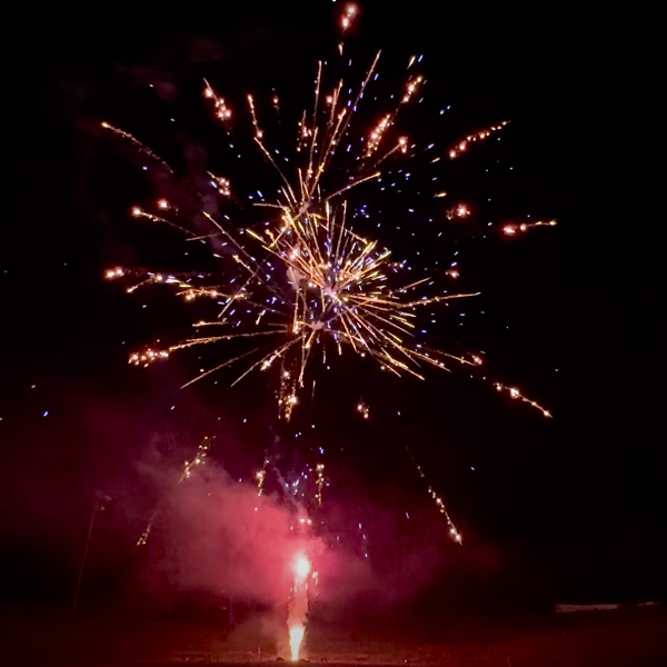 Red & Blue Mine to Red Strobe Willow w/Blue Stars 49-Shot Pro-Line Cake