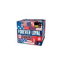 Forever Loyal 25-Shot XL Aerial Cake