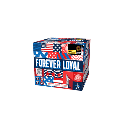 Forever Loyal 25-Shot XL Aerial Cake