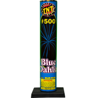 #500 Dalia Azul Concha
