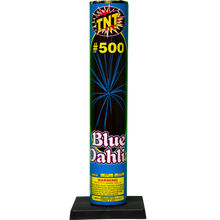 #500 Shell Blue Dahlia