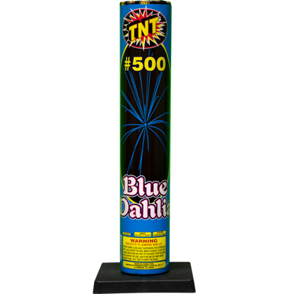 #500 Dalia Azul Concha