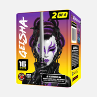 Geisha® 64 disparos Set de fuegos artificiales aéreos estándar®