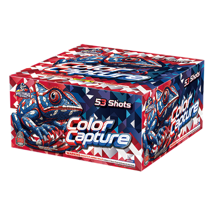 Color Capture 53-Shot XL Aerial Cake