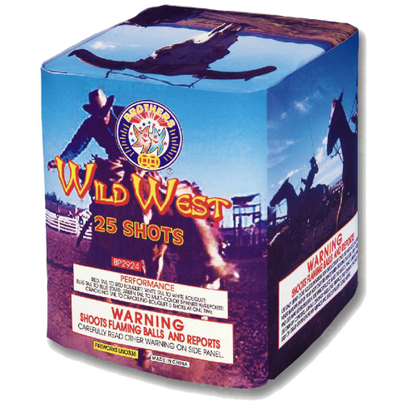 Wild West 25-Shot Standard Aerial Cake | Case 12/1