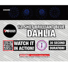 R/B/G/Y Dahlia Asst (30 sec) 12-Shot Standard Aerial Cake | 1/4 Case