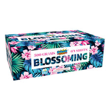 Blossoming 64-Shot XL Aerial Cake