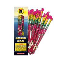 Morning Glory Sparkler (144-Pack)